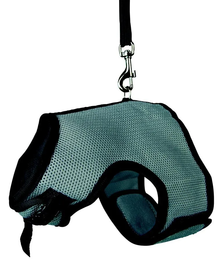 Softgeschirr mit Leine