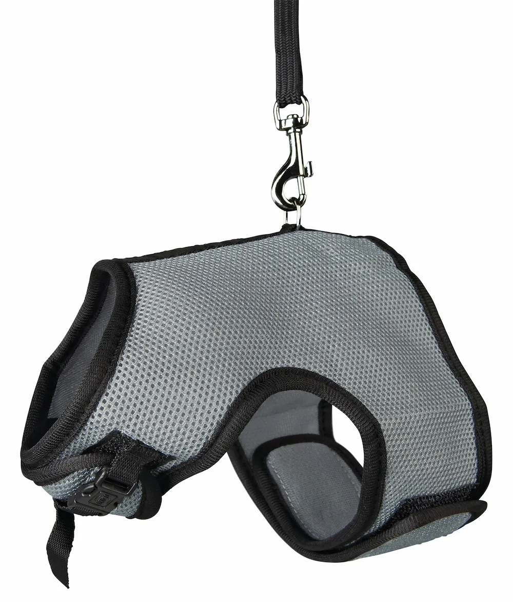 Softgeschirr mit Leine