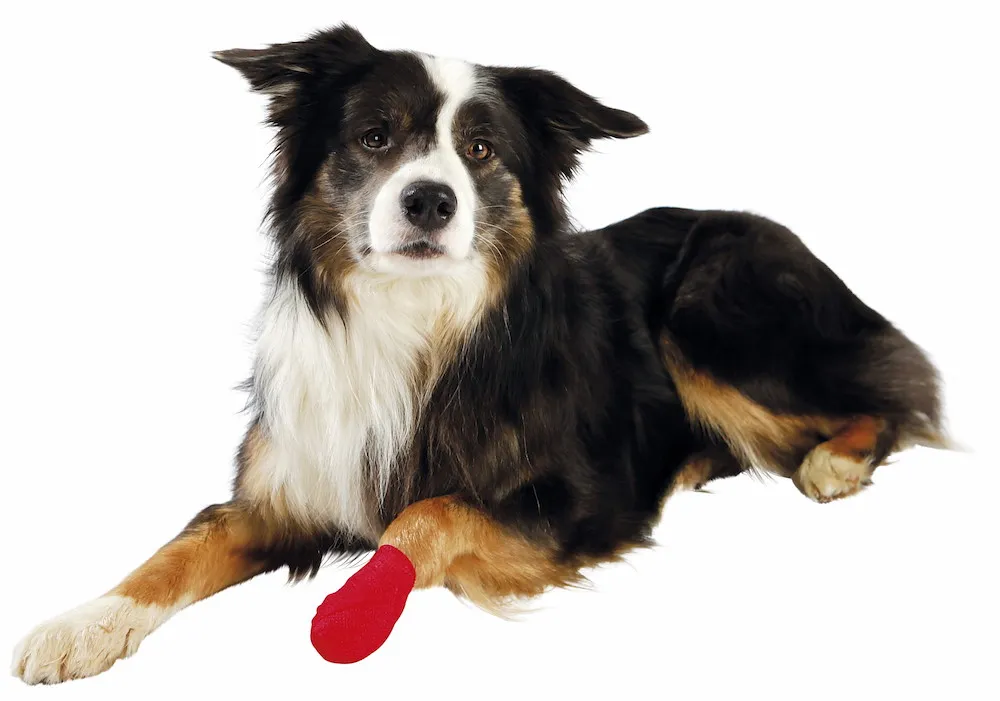 Bandagen,selbsthaft.