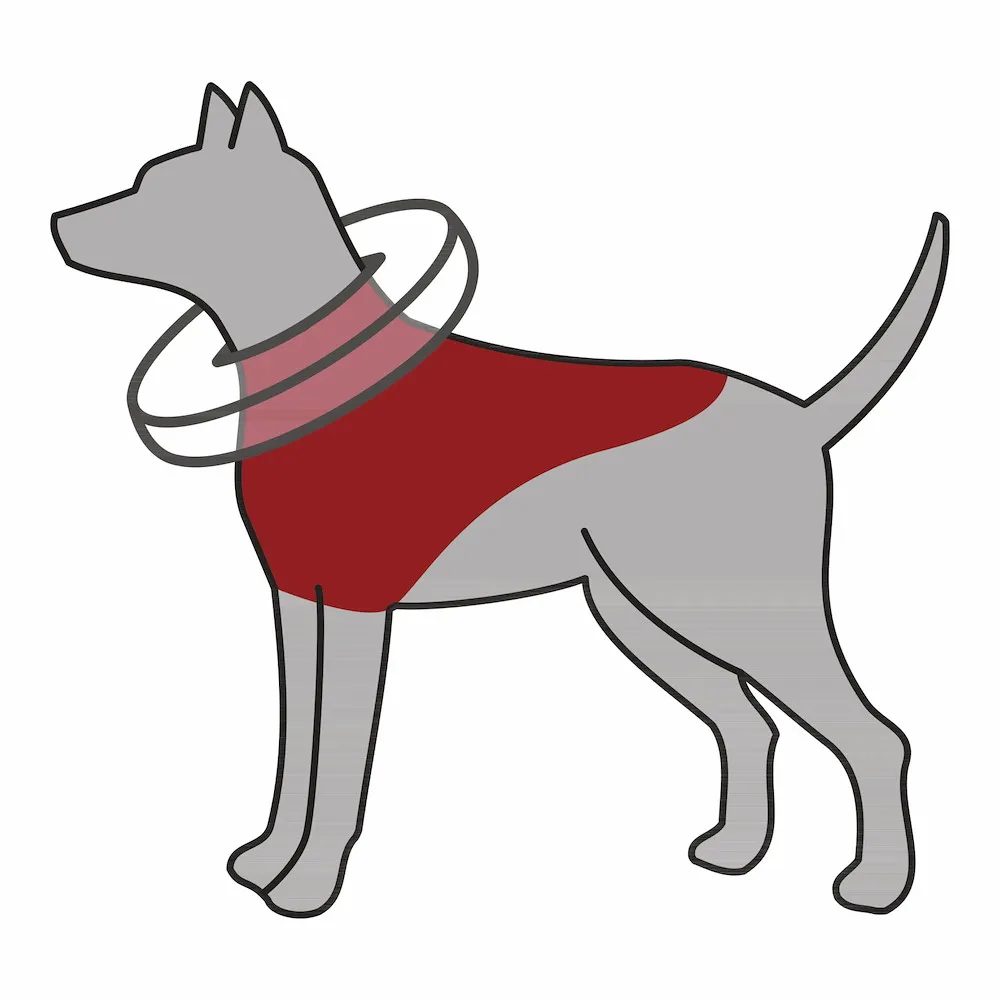 Schutzkragen, aufblasbar