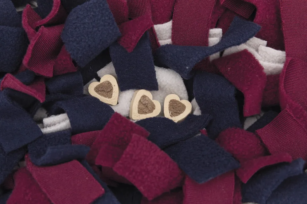 Activity Schn&uuml;ffelteppich