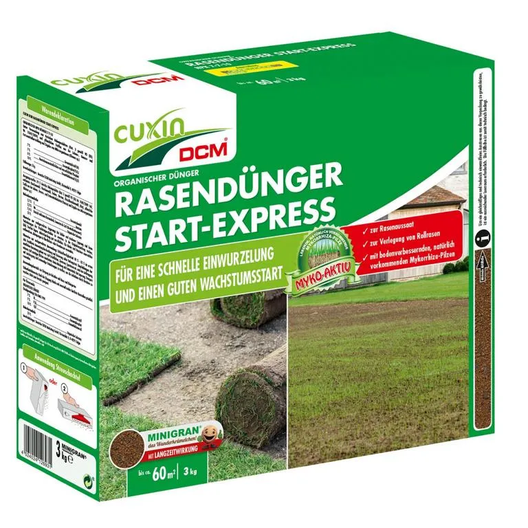Cuxin Rasend&uuml;nger Start-