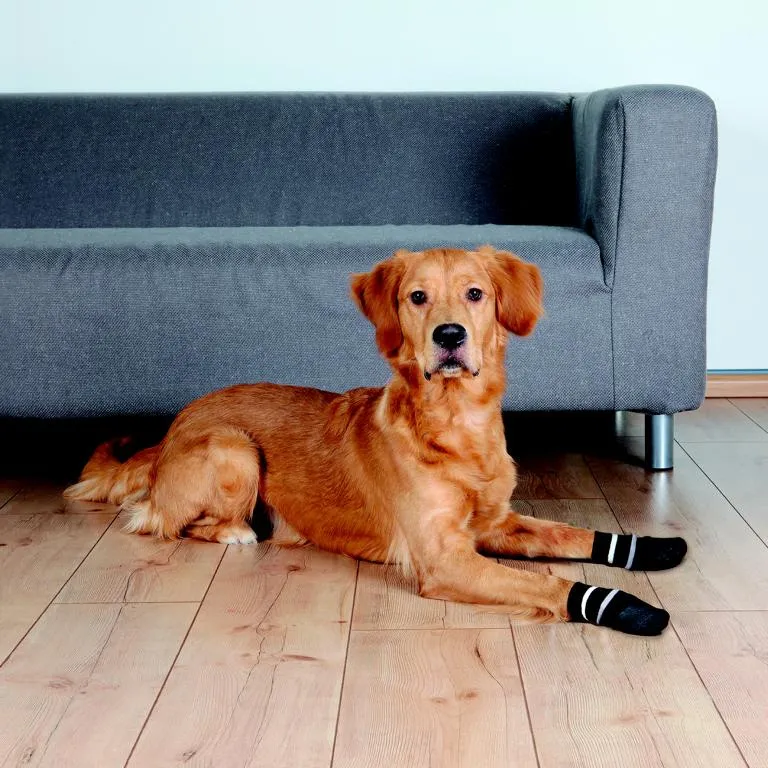 Hundesocken, Anti-Rutsch