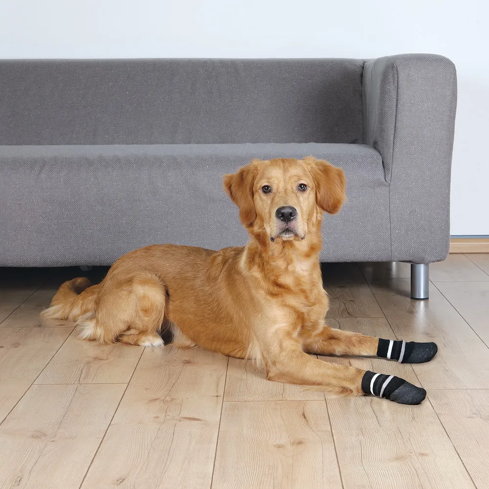 Hundesocken, Anti-Rutsch