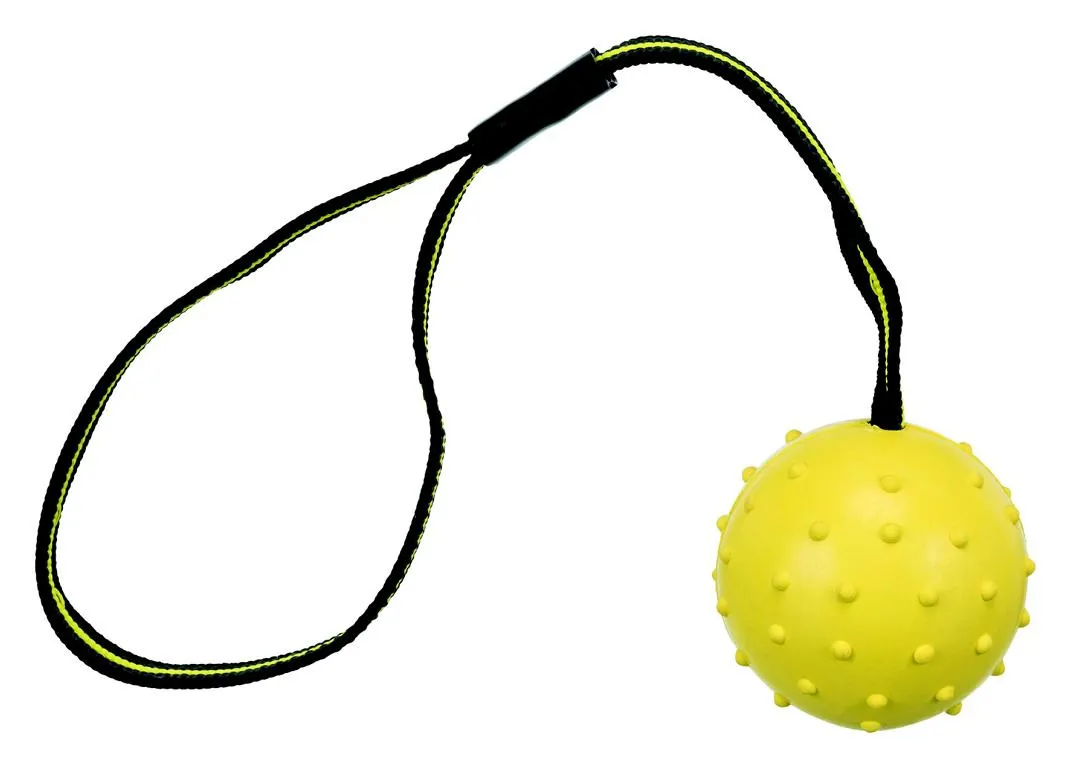 Sporting Ball am Gurt,