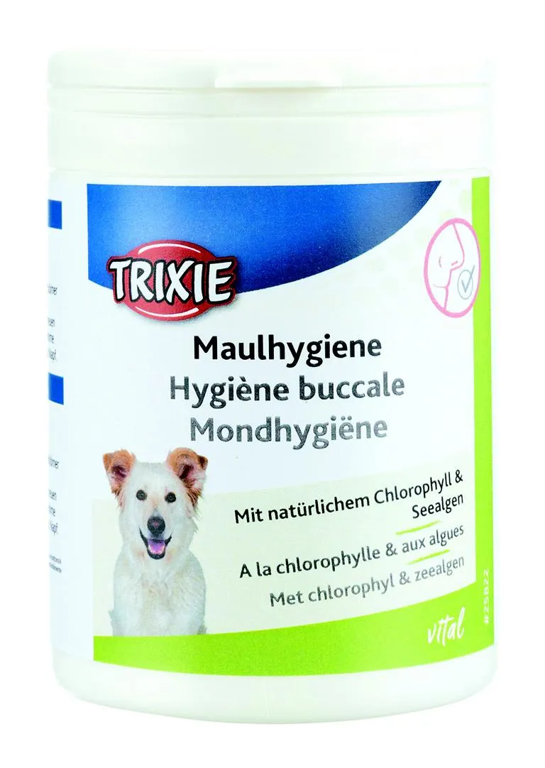 Maulhygiene, Hund,