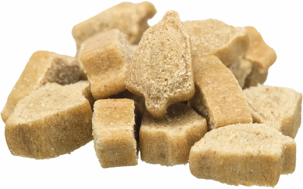 Adventskalender f&uuml;r Katzen