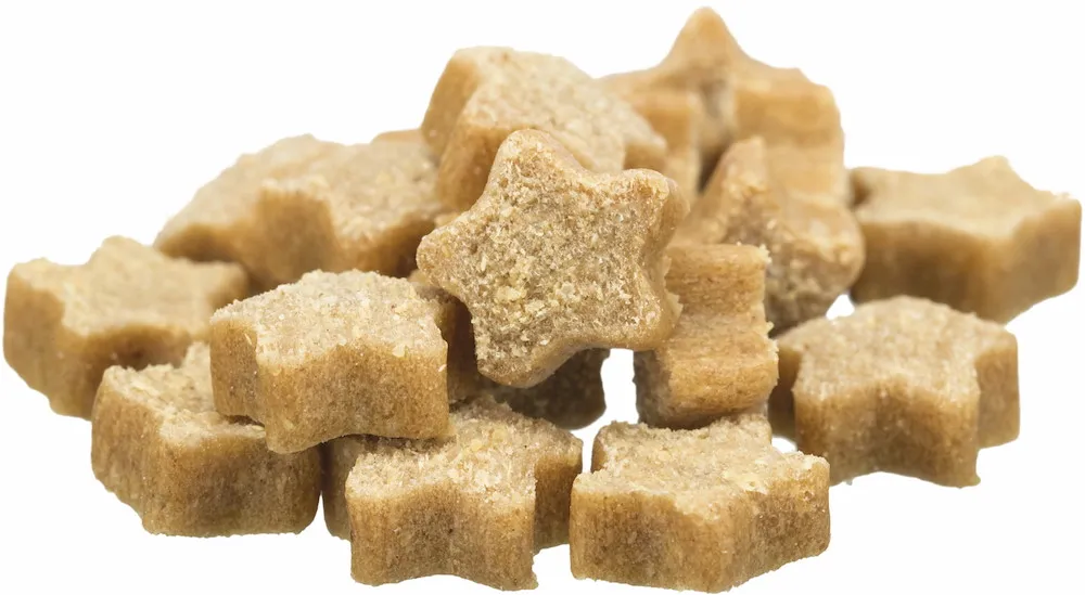 Adventskalender f&uuml;r Katzen