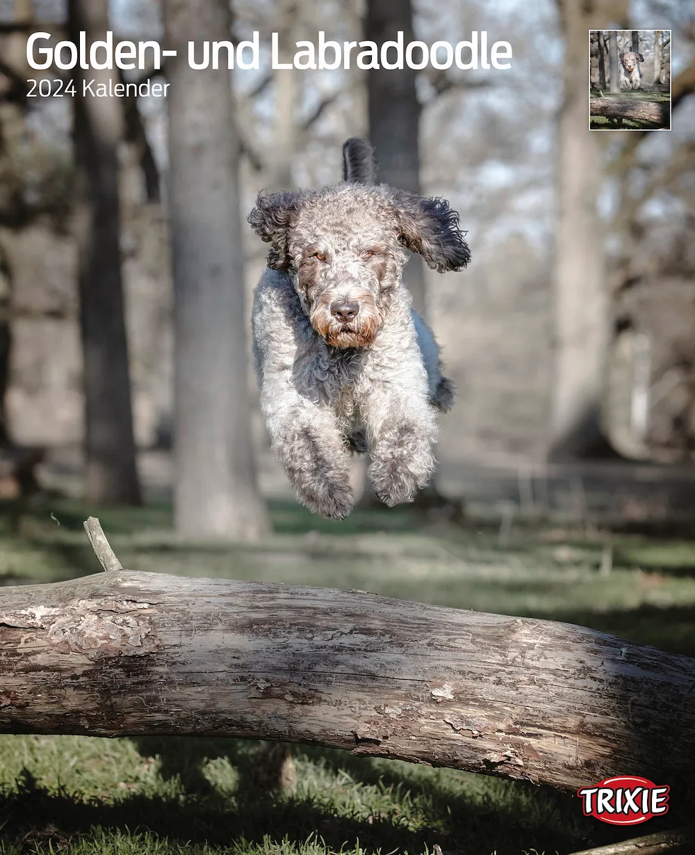 Kalender Golden- und