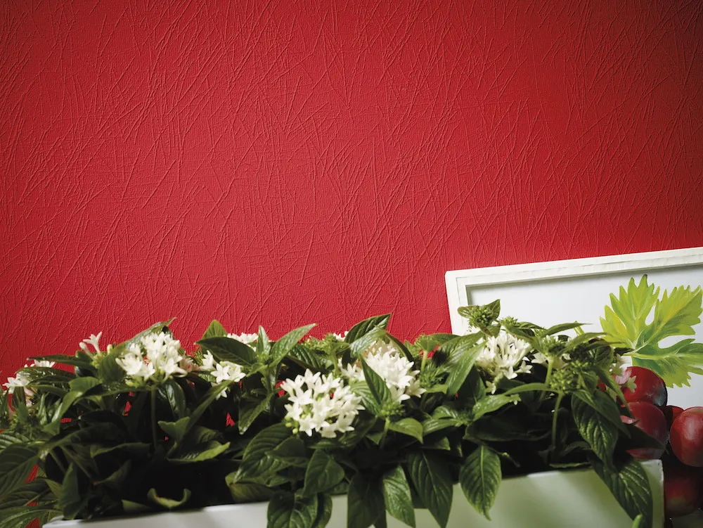 Meistervlies Protect