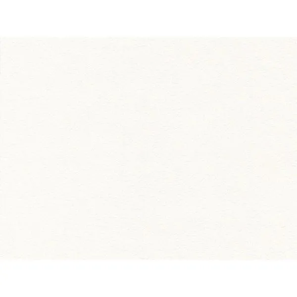 Meistervlies Protect