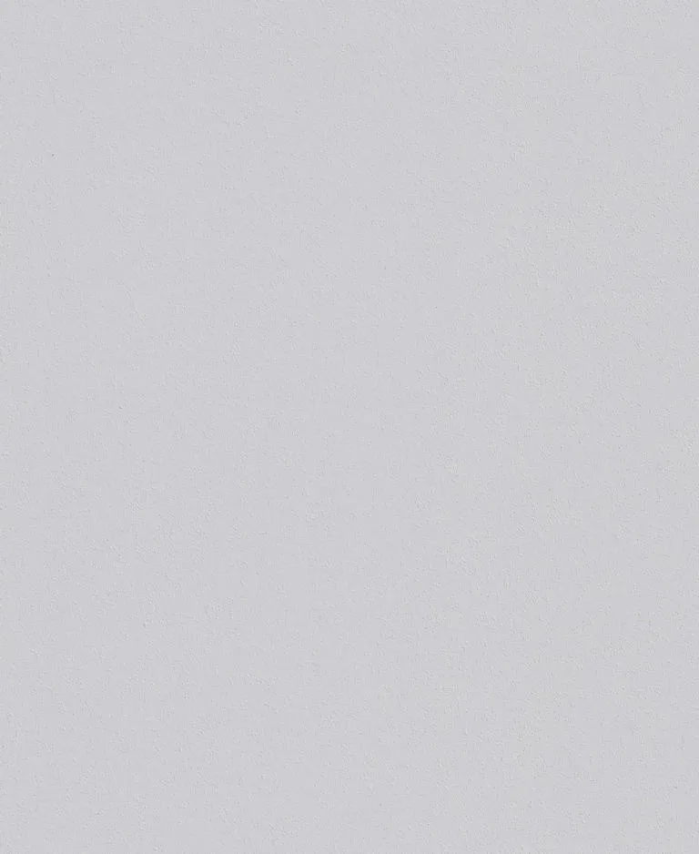 DIY Vlies Rauhfaser Viva