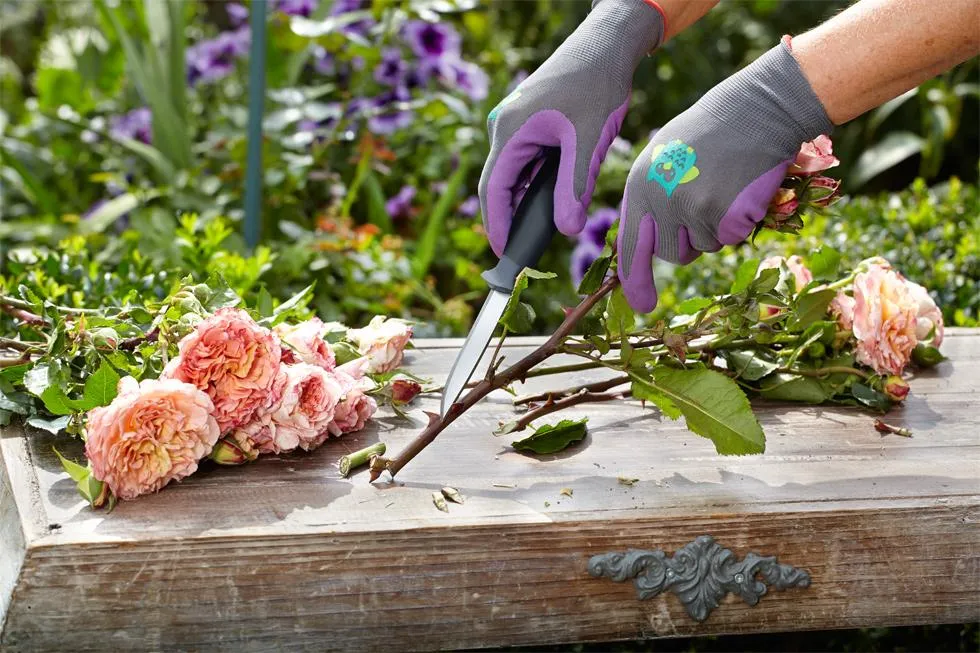 Outdoormesser mit K&ouml;cher