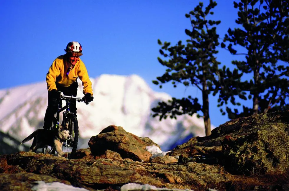 Taschenmesser 11-tlg.