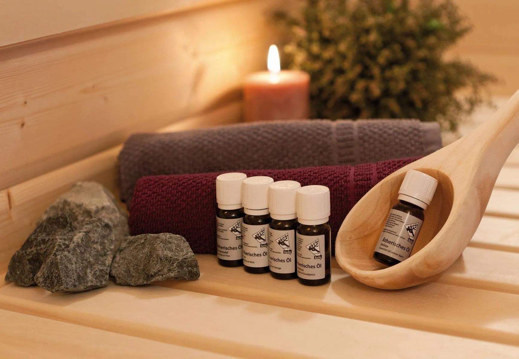 &Auml;therische &Ouml;le, je 1x a 10 ml