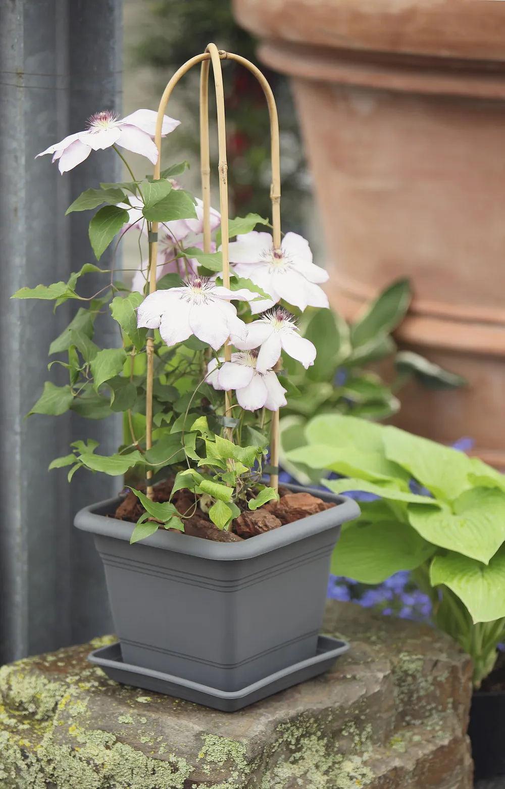 Planter Nora 23cm anthrazit