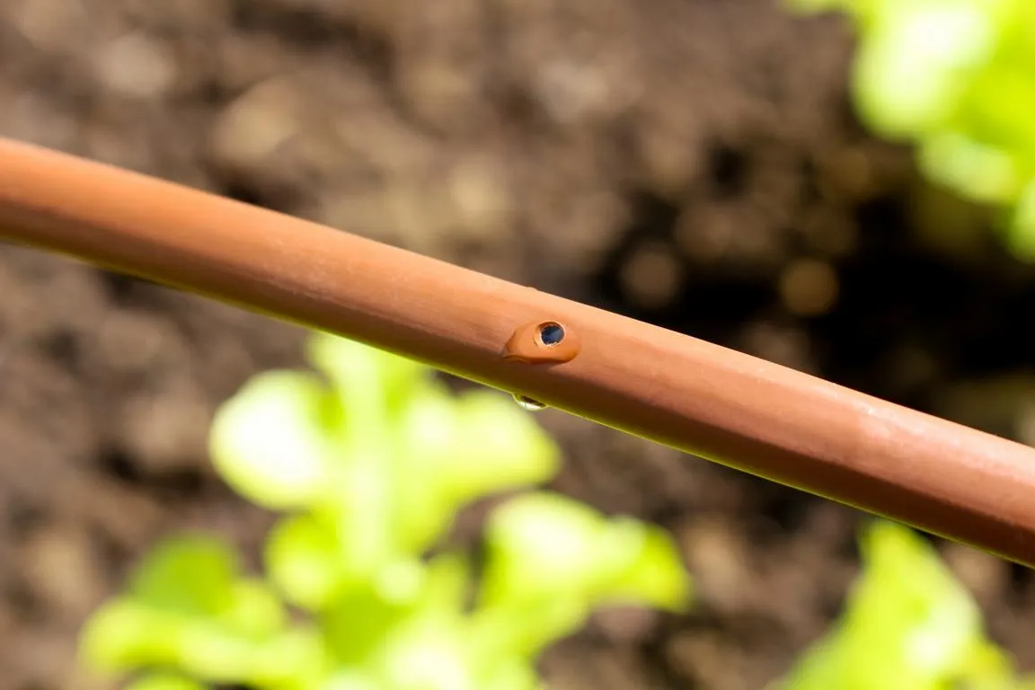 Tropfschlauch f&uuml;r Hoch- und