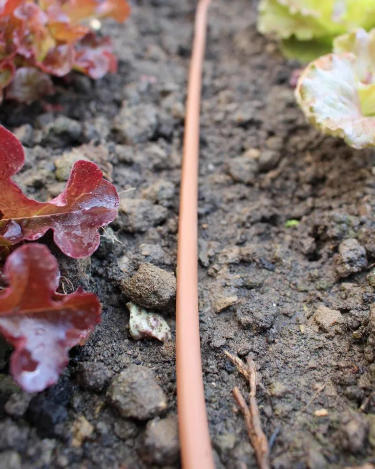 Tropfschlauch f&uuml;r Hoch- und
