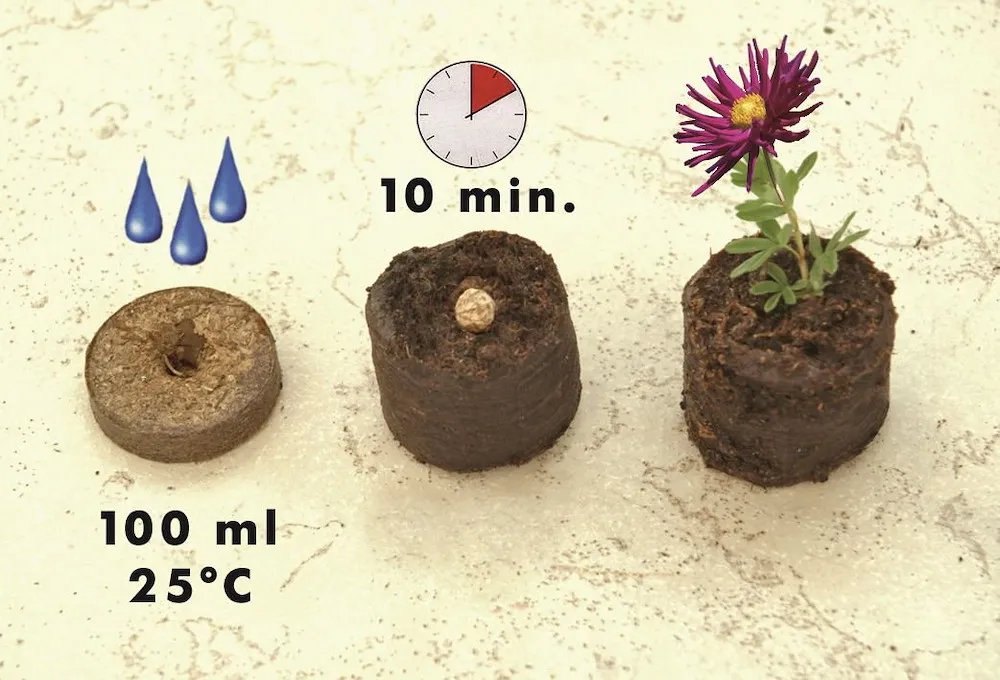 Torfquellt&ouml;pfe Classic