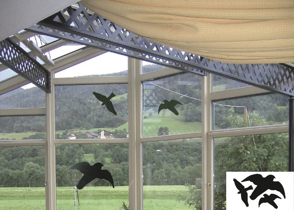Greifvogelsilhouetten Classic