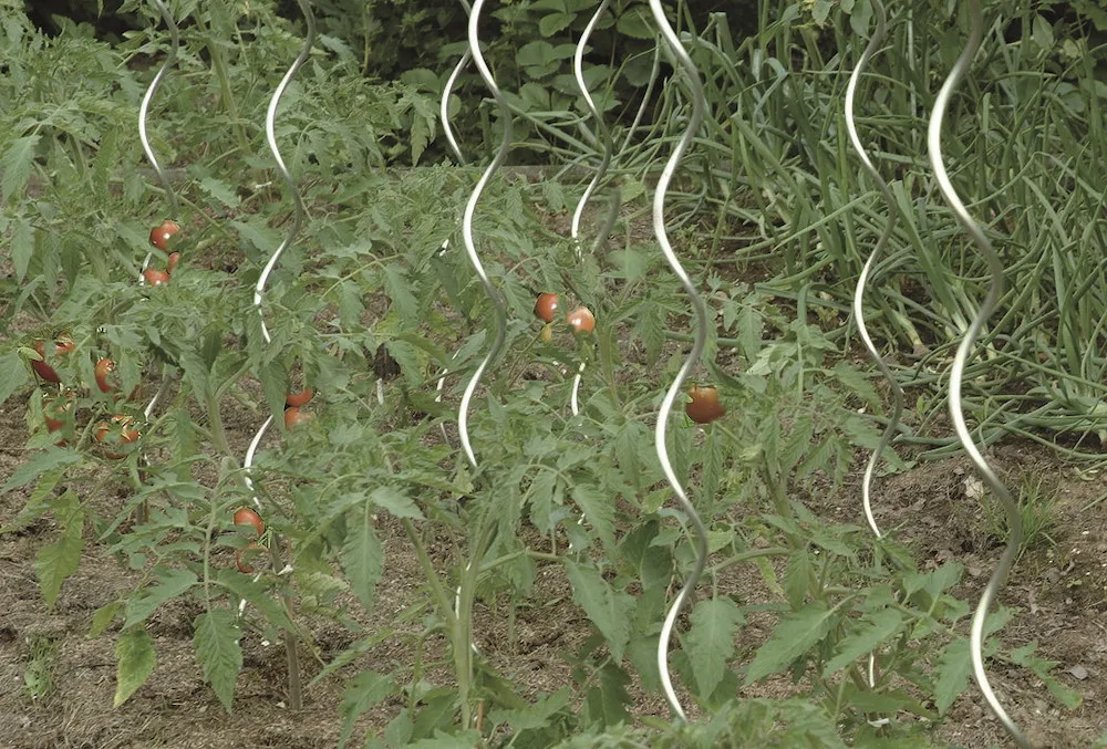 Tomatenspiralstab Classic