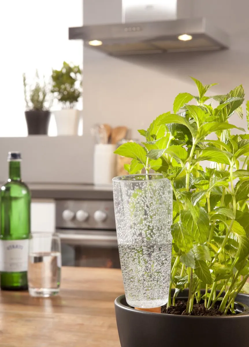 112/18 Copa Transparent