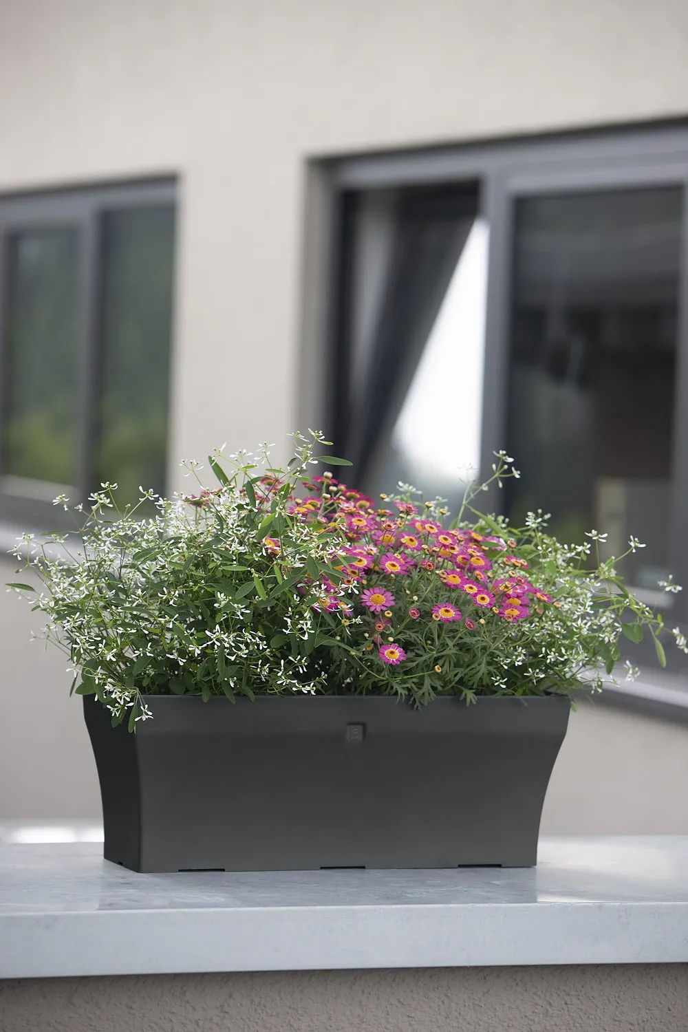 Blumenkasten Neo-Line 50 cm