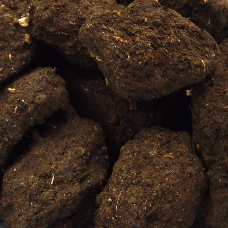 AquaVital Gartenteichtorf