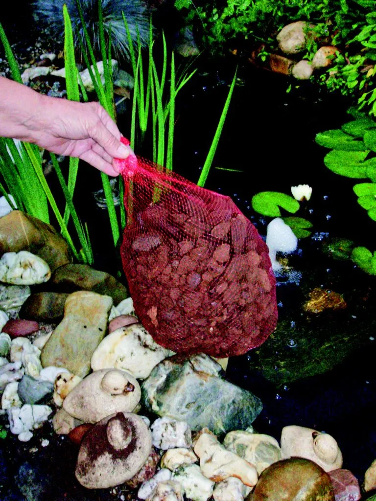 AquaVital Gartenteichtorf