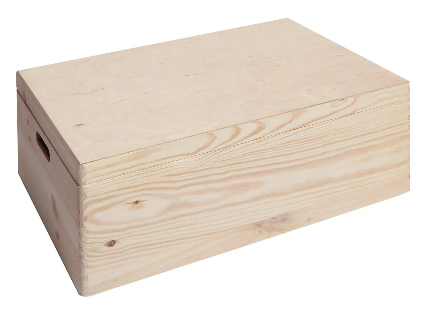 Allzweckkiste mit Klappdeckel