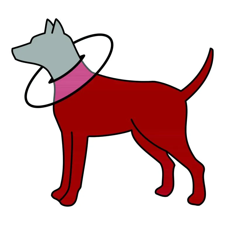 Schutzkragen, XS: 23 27 cm,