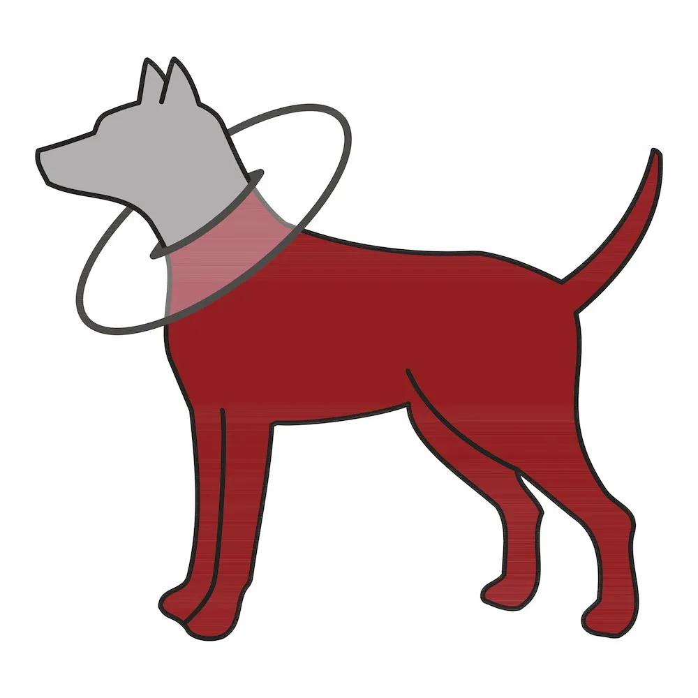 Schutzkragen, XS: 23 27 cm,