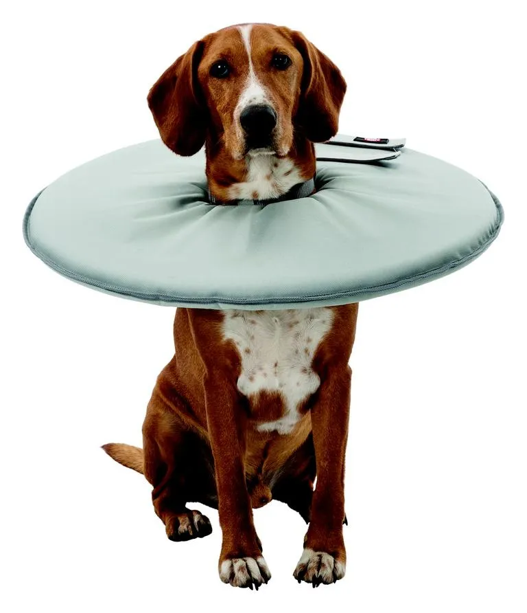 Schutzkragen, M: 38 42 cm