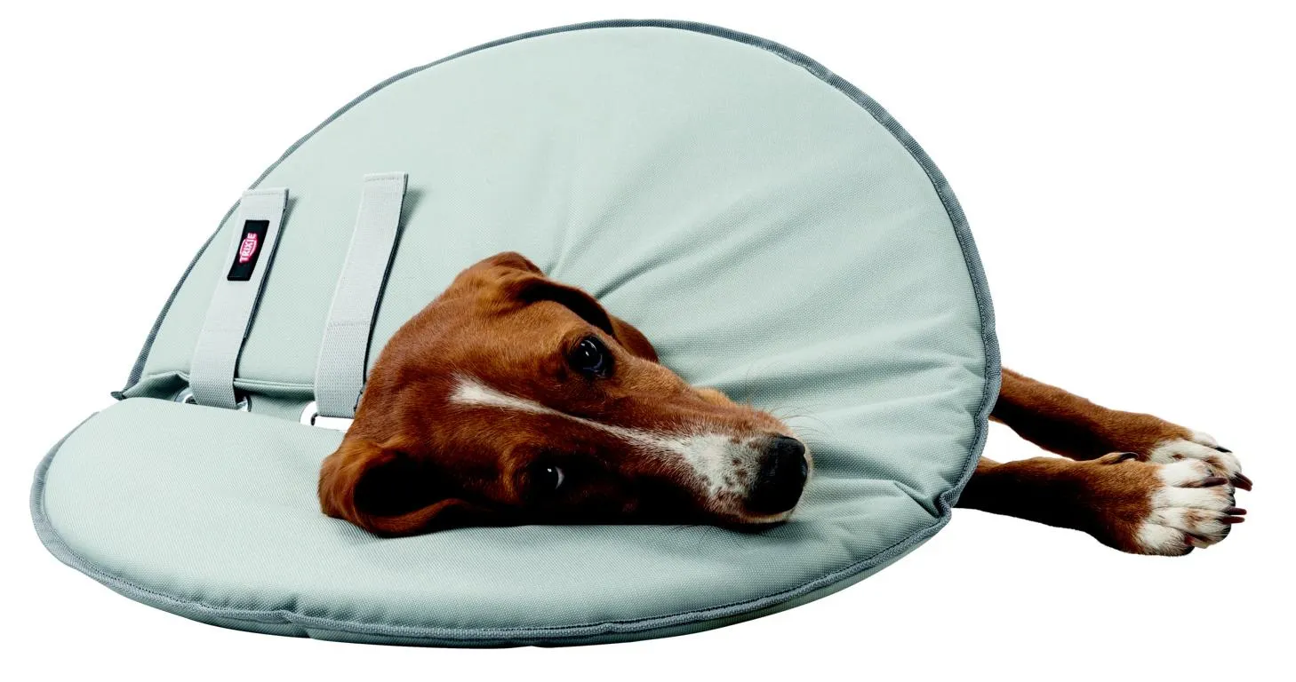 Schutzkragen, M: 38 42 cm