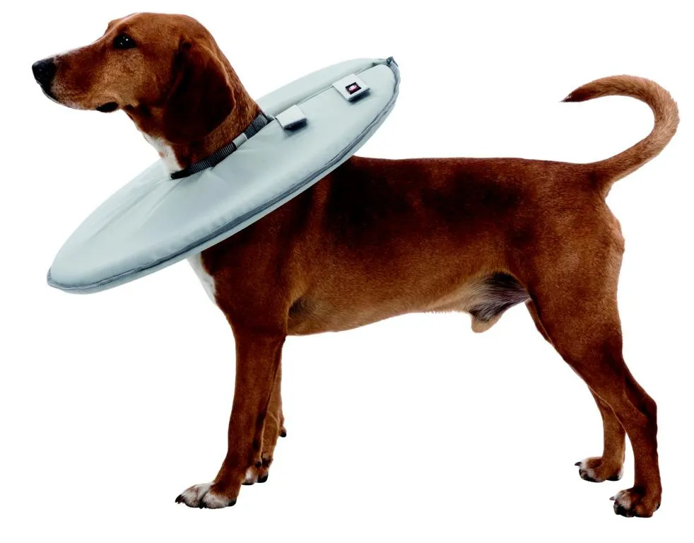 Schutzkragen, M: 38 42 cm