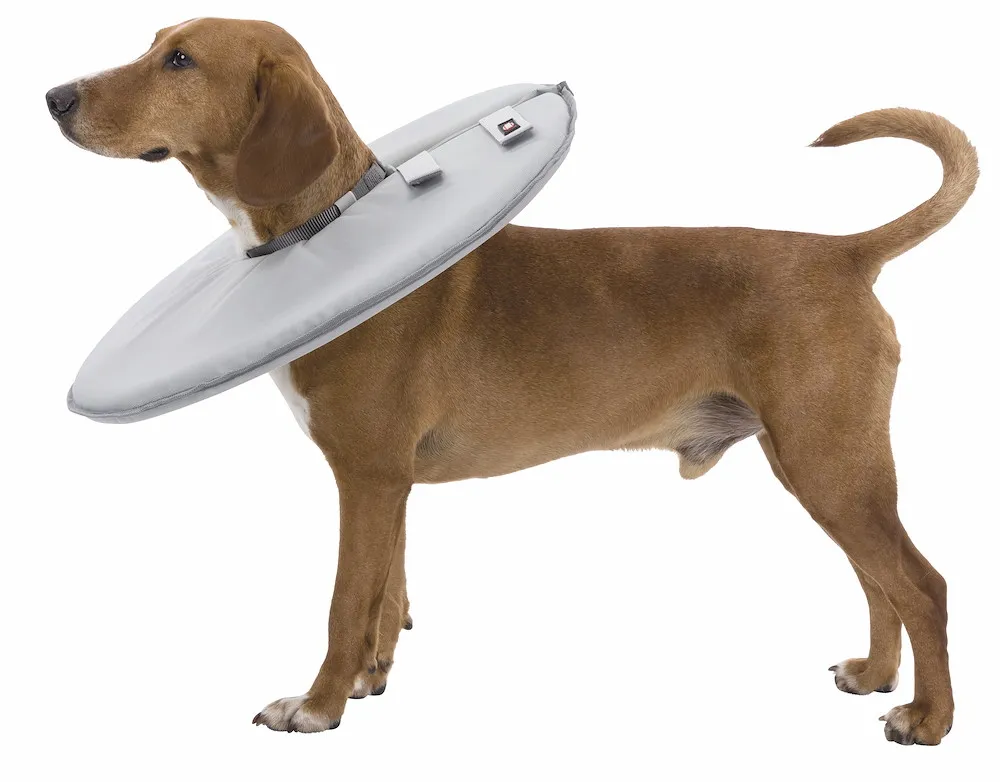 Schutzkragen, M: 38 42 cm