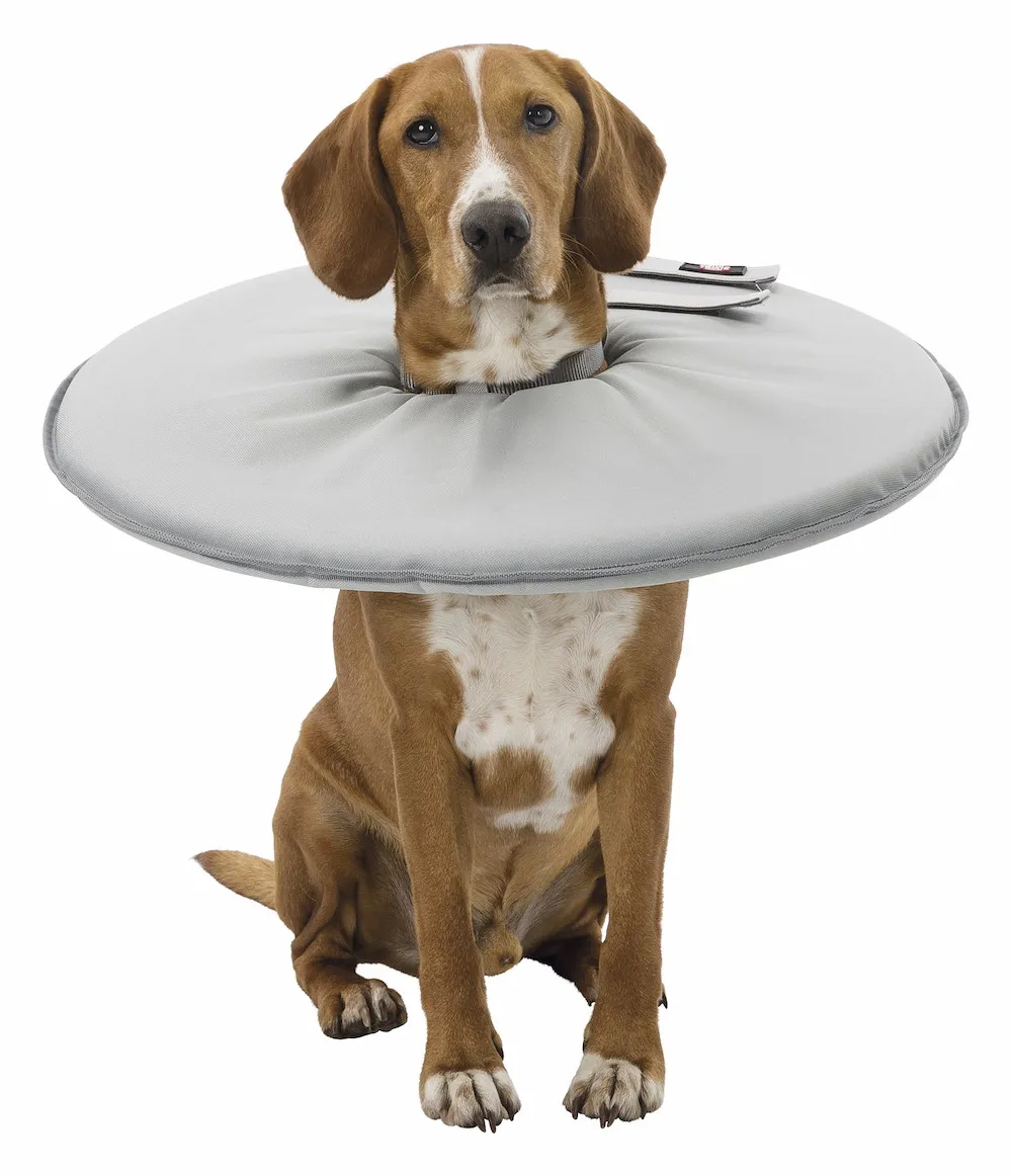 Schutzkragen, M: 38 42 cm