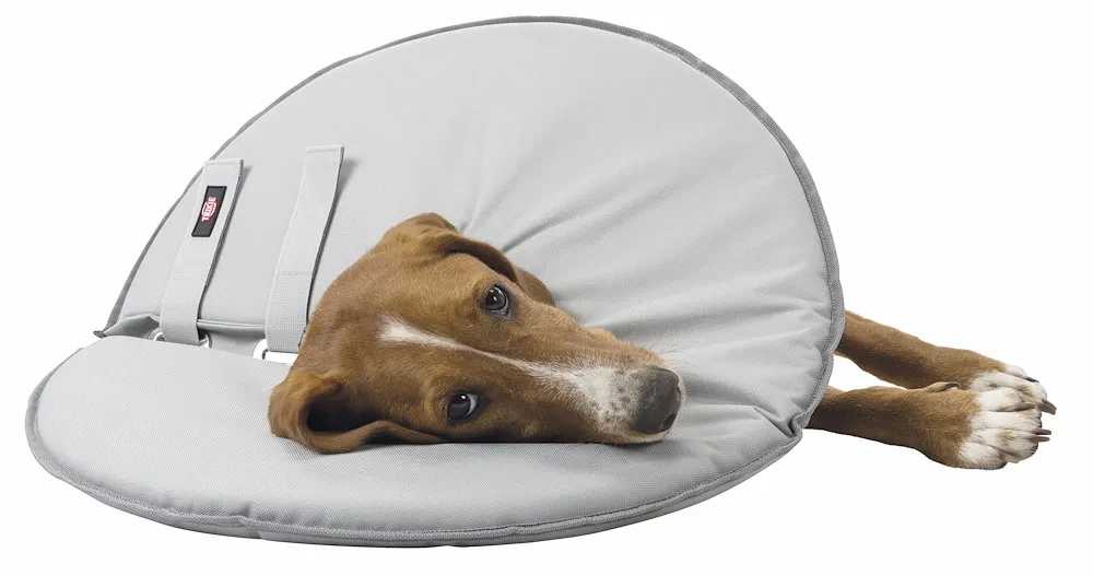 Schutzkragen, M: 38 42 cm