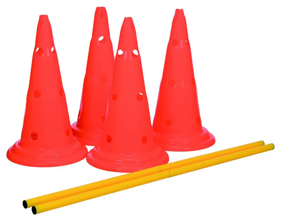 Dog Activity Hindernisse, 2 St