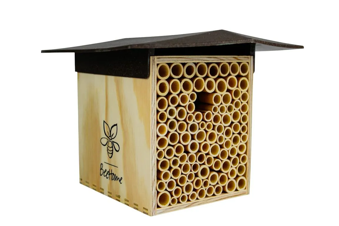 BeeHome Classic braunes Dach