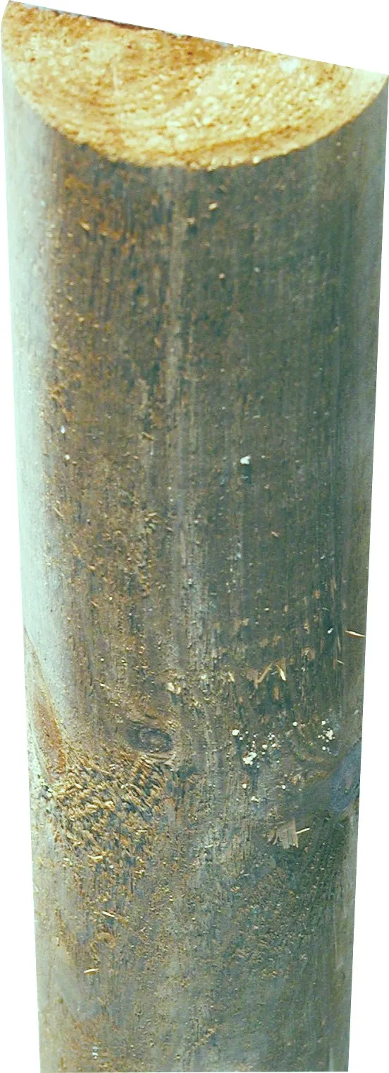 Querriegel gr&uuml;n 8 x 300 cm