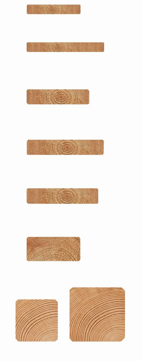 Konstruktionsholz Douglasie