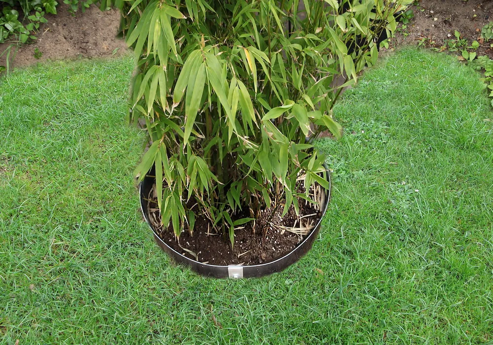 Profi Wurzel- und Bambussperre