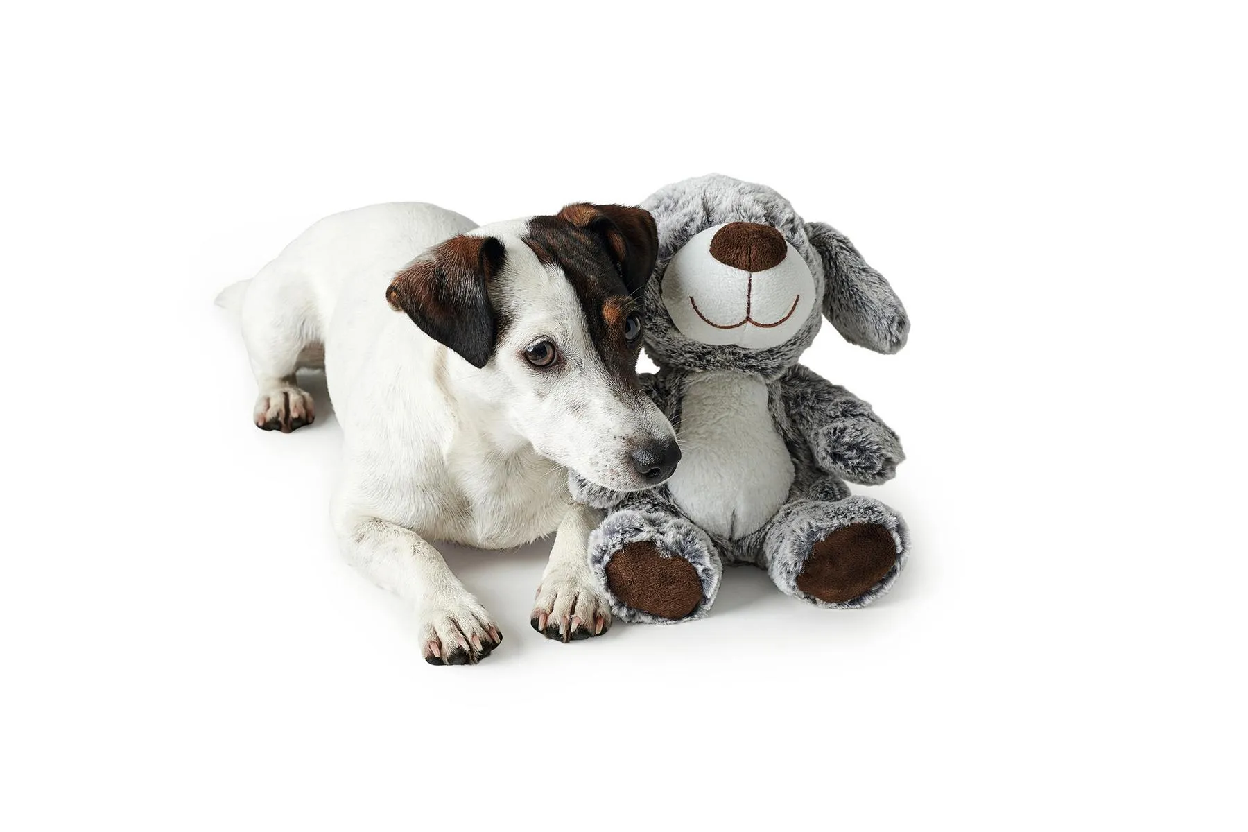 Hundespielzeug Faro Hund