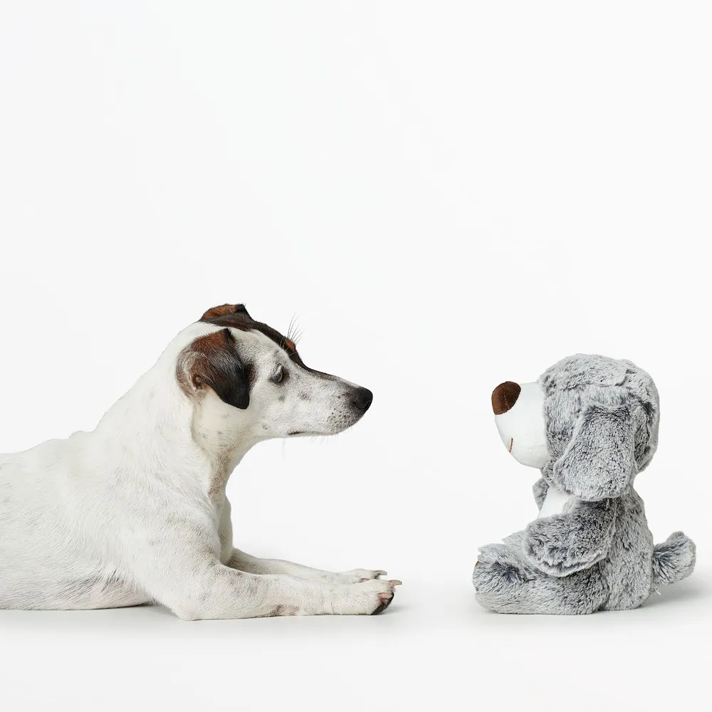 Hundespielzeug Faro Hund