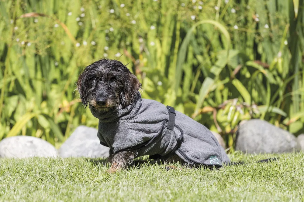 Bademantel f&uuml;r Hunde, Frottee