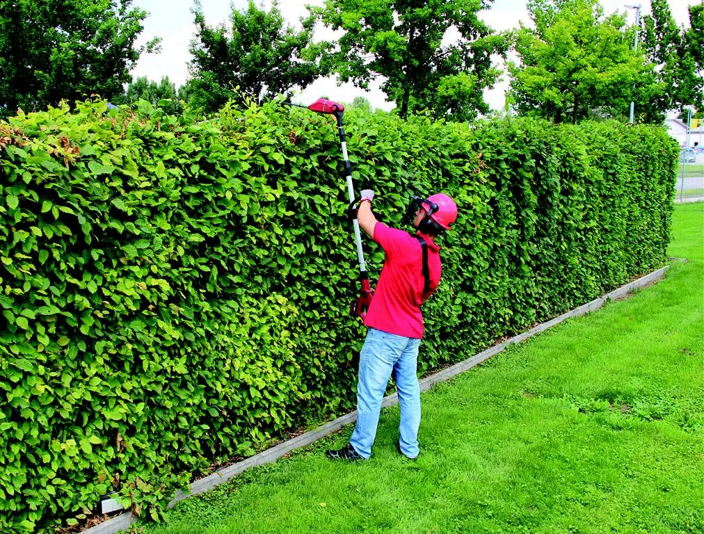 Akku-Teleskop-Heckenschere