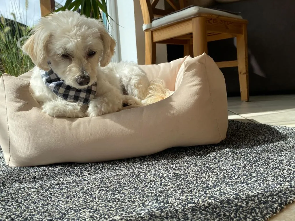 Entra Saugstark 60x75cm C.40