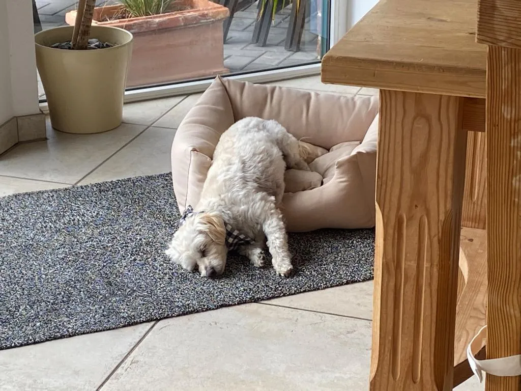 Entra Saugstark 60x75cm C.40