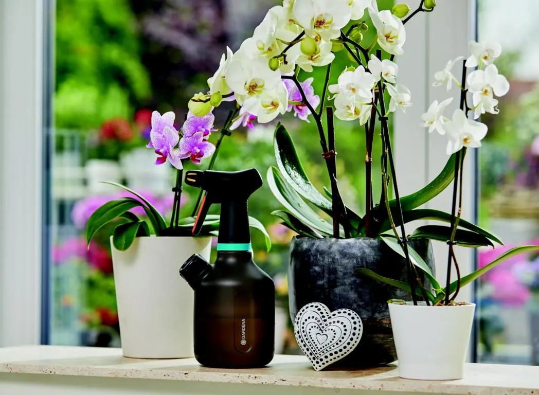 Pumpspr&uuml;her 1 L